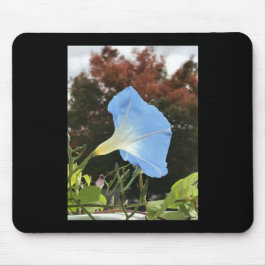 Mousepad Blue Autumn Morning Glory