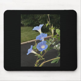 Mousepad Blue Cascade Morning Glory