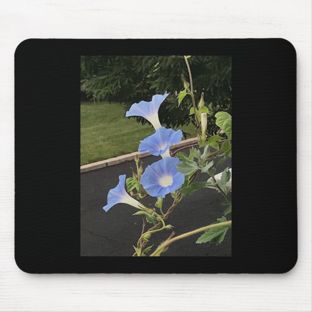 Mousepad Blue Cascade Morning Glory (Frente)