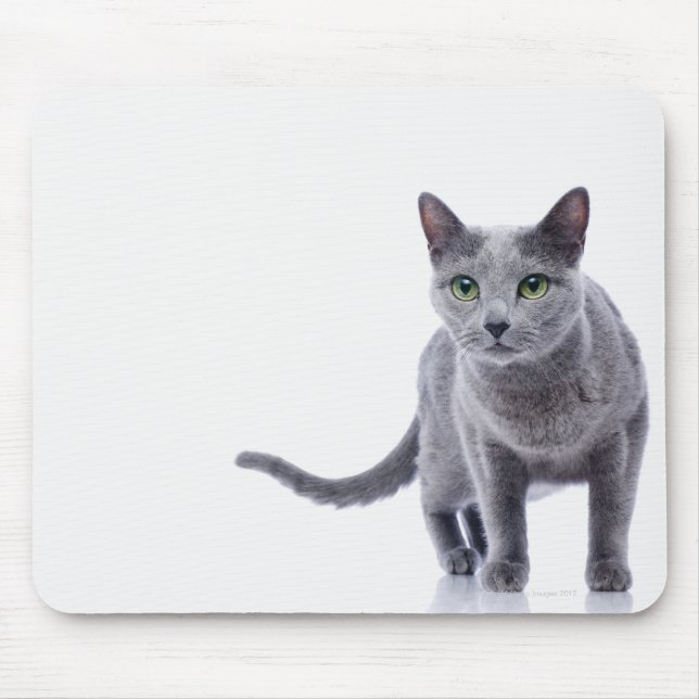 Mousepad Blue Cat Russo (Frente)
