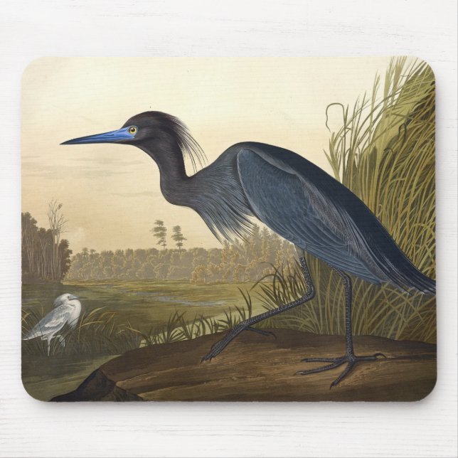 Mousepad Blue Crane Ou Heron Birds Da América John James (Frente)