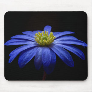 Mousepad Blue Daisy Gerbera Flower em preto