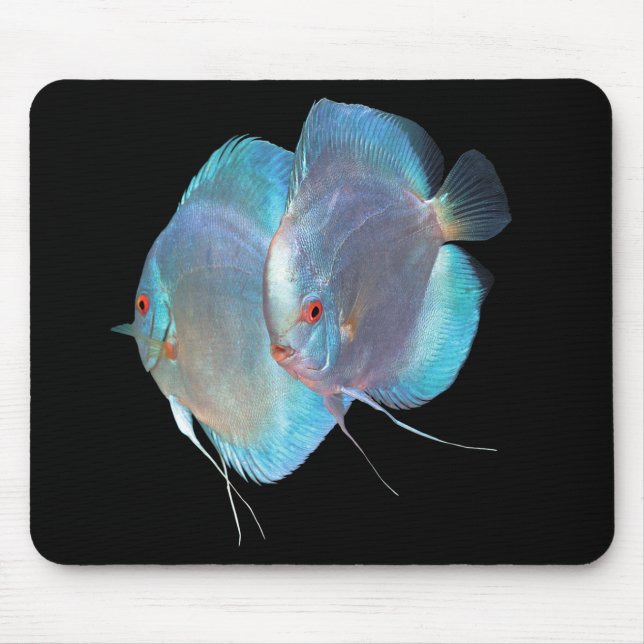 Mousepad Blue Diamond Discus fish, n.o 01 (Frente)