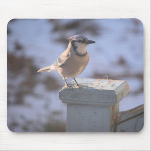 Mousepad Blue Jay