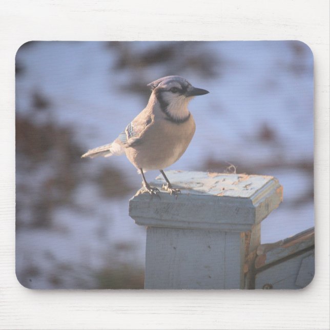 Mousepad Blue Jay (Frente)
