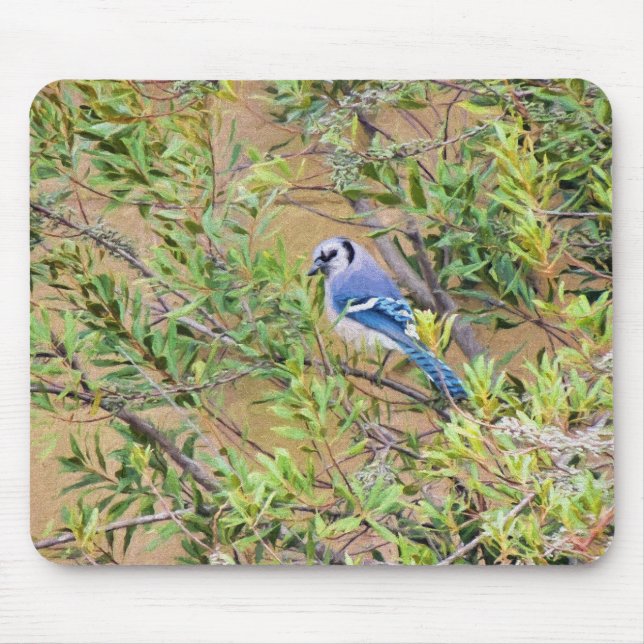 Mousepad Blue Jay sobre Myrtle da Cera do Sul (Frente)