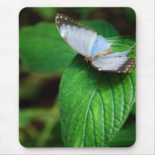Mousepad Blue Morpho 112