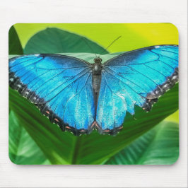 Mousepad Blue Morpho Butterfly Arte Floral