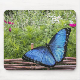 Mousepad Blue Morpho Butterfly Design
