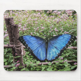 Mousepad Blue Morpho Butterfly Design