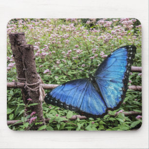 Mousepad Blue Morpho Butterfly Design