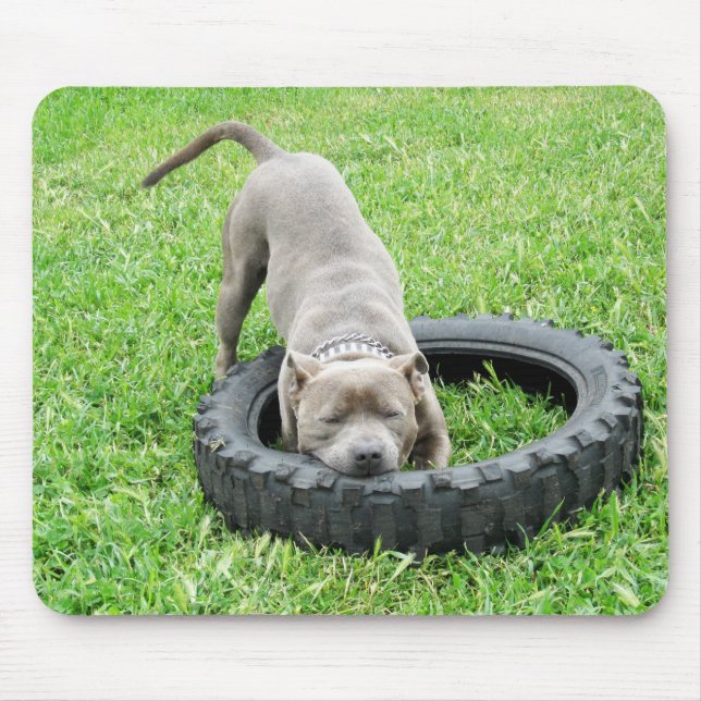 Mousepad Blue Young Staffordshire Bull Terrier, (Frente)