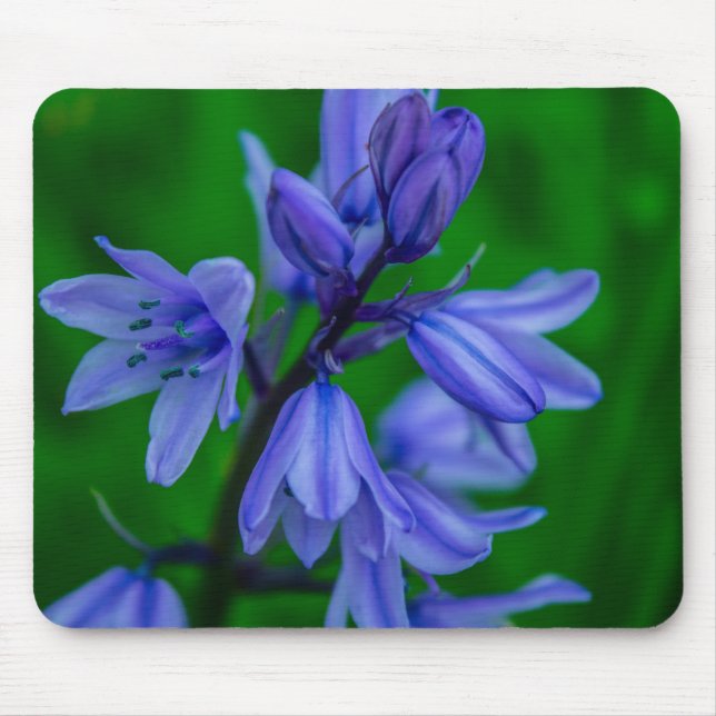 Mousepad Bluebells Mousemat (Frente)