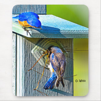 Mousepad Bluebird 020 que aninha o tapete do rato 7.75x9.25
