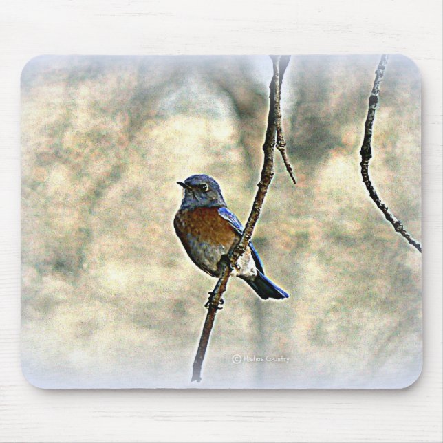 Mousepad Bluebird da felicidade (Frente)