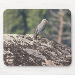 Mousepad Bluebird da montanha no granito