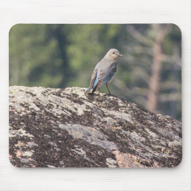 Mousepad Bluebird da montanha no granito (Frente)