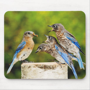 Mousepad Bluebird oriental
