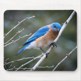 Mousepad Bluebird oriental
