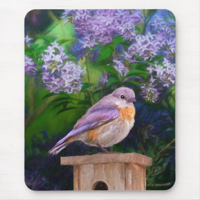 Mousepad Bluebird oriental na neve - Foto original (Frente)