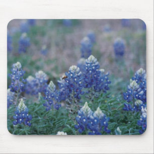 Mousepad Bluebonnets