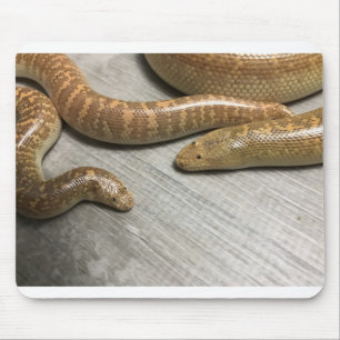 Mousepad Boa de areia árabe