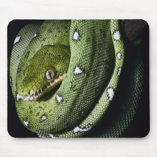 Mousepad Boa esmeralda do cobra verde da árvore em Bolívia (Frente)