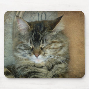 Mousepad Bob o gato