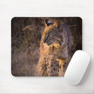 Mousepad Bobcat gostando do sapato da noite do sol