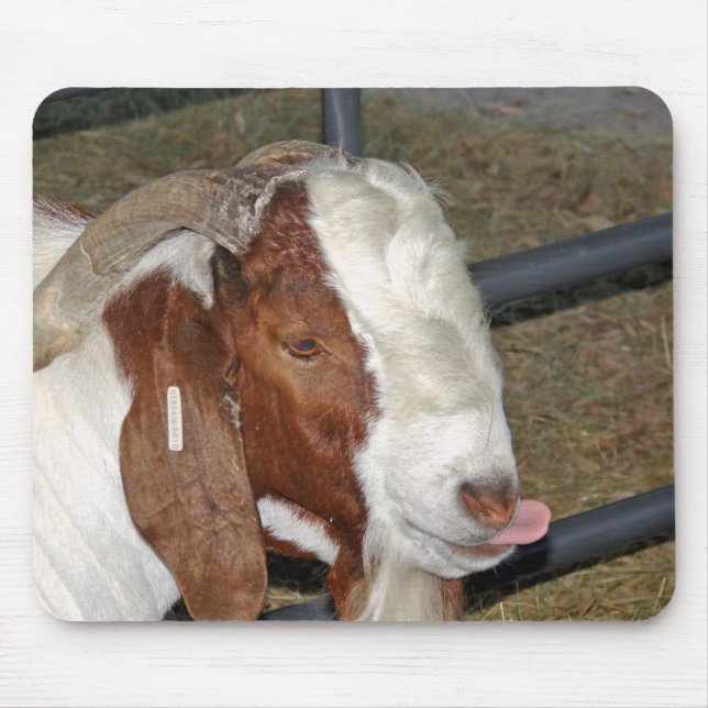 Mousepad Bobo (Frente)