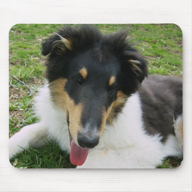Mousepad Bobo Collie (Frente)