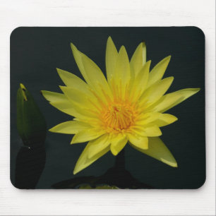Mousepad Boca-branca