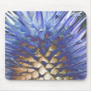 Mousepad Boca-Chama Azul De Grama Selvagem