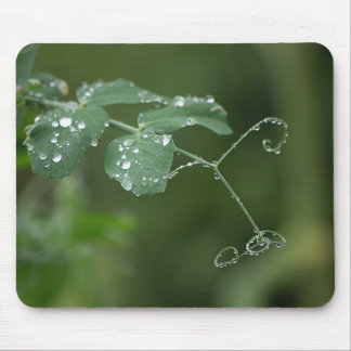 Mousepad Boca de Lágrimas de Ervilha Verde