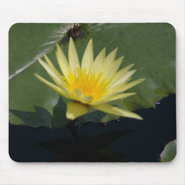 Mousepad Boca-do-rio Amarelo (Frente)