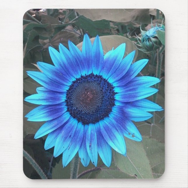 Mousepad Boca-flor-azul (Frente)