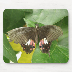 Mousepad Boca-Mão-Mão-Mão-de-Oletra-Escarlate