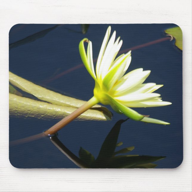 Mousepad bocal aquoso branco (Frente)