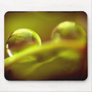 Mousepad Bocal de Água