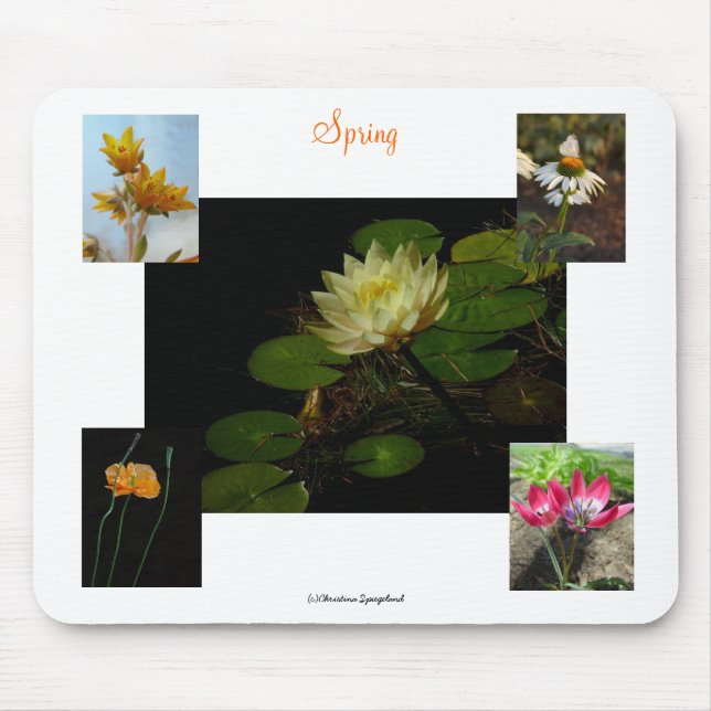 Mousepad Bocal de Flores de primavera Crocus (Frente)