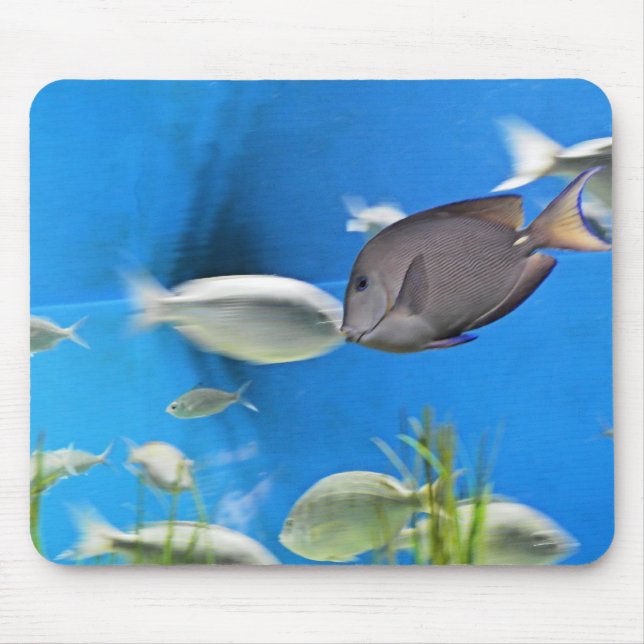 Mousepad Bocal de Peixe Azul (Frente)