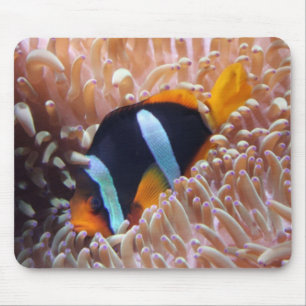 Mousepad Bocal de Peixe-Palha