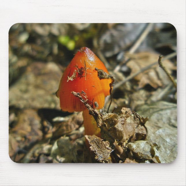 Mousepad Bocal do Cogumelo do Boné Minúsculo Amberina Cone (Frente)
