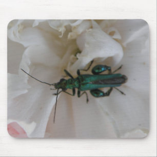 Mousepad Bocal do Flower Beetle