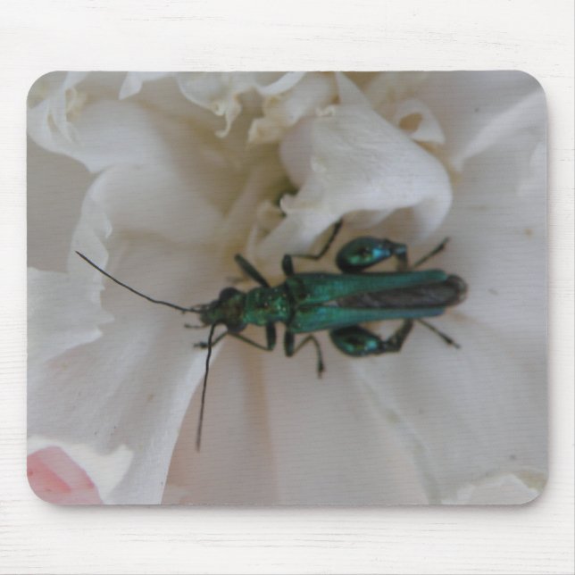 Mousepad Bocal do Flower Beetle (Frente)