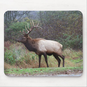 Mousepad Bocal Elk