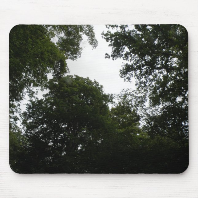 Mousepad Bocal Florestal Capado (Frente)