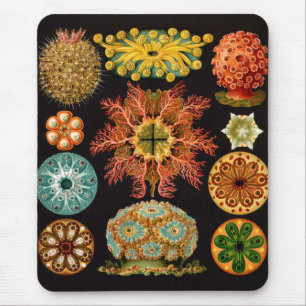 Mousepad Bocal Quadrado de Camisa do Mar
