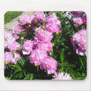 Mousepad Bocal Rosa Branco