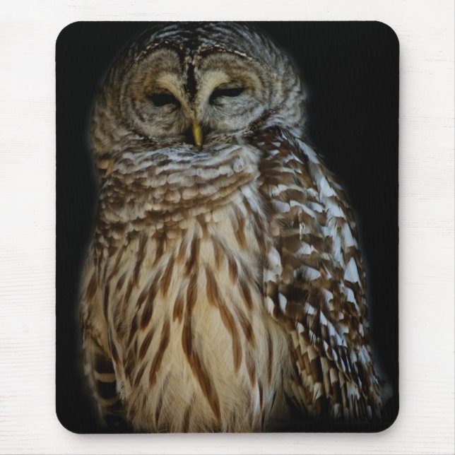Mousepad Bocalhar de Coruja Sonolenta (Frente)